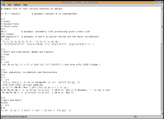 Music score example